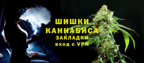 прущие грибы Ханты-Мансийск