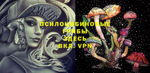 mdpv Гусев