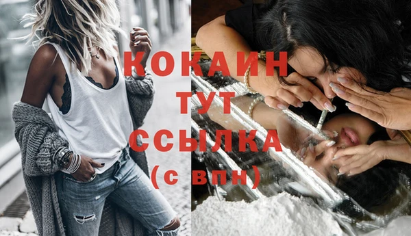 COCAINE Гусь-Хрустальный