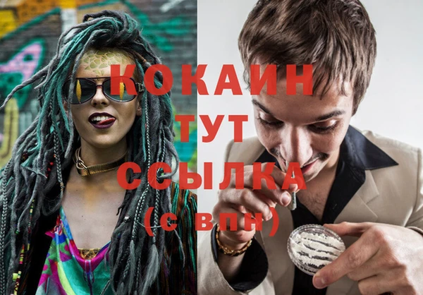 COCAINE Гусь-Хрустальный