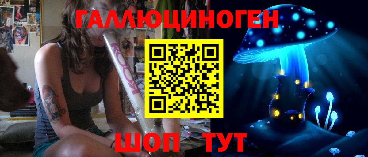 Гуково  где найти   Вход с VPN  Псилоцибиновые грибы мухоморы  Галлюциногенные грибы Psilocybe 